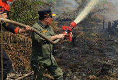 Gubernur Turun Langsung Padamkan Karhutla di Muarojambi, Al Haris: Api Sudah 3 Hari, Gambut Sulit Dipadamkan
