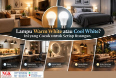 Lampu Warm White atau Cool White? Ini yang Cocok untuk Setiap Ruangan