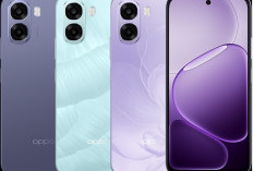 Harga 1 Jutaan, OPPO A6x Jadi HP Operasional Andalan dengan Baterai Tahan Lama