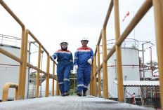 Awal 2026 Moncer, Produksi Migas PHE Tembus 956 Ribu BOEPD
