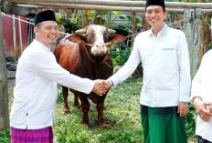   Bupati Batang Hari Salat Iduladha di Masjid Asy-Syuhada, Sekaligus Serahkan Hewan Qurban dari Presiden RI