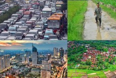 Buka Usaha di Desa atau Kota? Simak Mana yang Lebih Menguntungkan