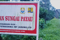 Ratusan Kendaraan Berbagai Tonase Setiap Hari Melintasi Jembatan Sungai Payau Milik SKK Migas-PetroChina
