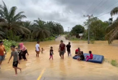 Banjir Kecamatan Tengah Ilir Rendam Ratusan Rumah Warga, Akses Jalan Nasional Tebo-Tanjab Barat Lumpuh 