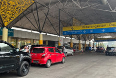 Kabut Asap Jambi Akibat Karhutla Makin Jadi! Jarak Pandang Bandara Sultan Thaha Sempat 800 Meter