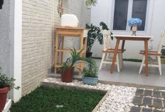  Bukan Sekadar Pajangan: Ini 5 Alasan Kuat Mengapa Rumah Minimalis Wajib Punya Taman di Dalam Ruangan!
