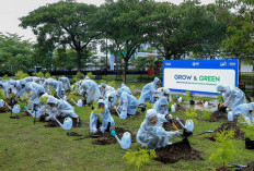 Perkuat Komitmen Keberlanjutan, BRI Gelar Aksi Tanam Pohon dan Ajak Masyarakat Peduli Lingkungan
