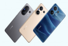 Vivo V70 Diprediksi Hadir Awal 2026, Kenapa Disebut Smartphone Elite?