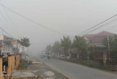 Kabut Tebal Selimuti Jambi Senin Pagi, BMKG Peringatkan Warga Soal Jarak Pandang hingga Kelompok Rentan