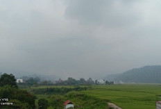 Waspada! Kabut Tebal dan Udara Kabur Bakal Selimuti Sebagian Besar Wilayah Jambi Jumat Ini
