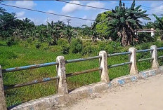  Sungai Penghubung Dua Desa di Tanjabtim Alami Sedimentasi, Khawatirkan Menimbulkan Banjir