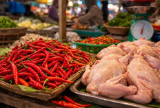 PIHPS Catat Harga Pangan Terbaru: Cabai Merah, Telur, dan Beras Per Kamis Pagi