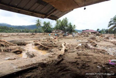 Kayu Gelondongan Terbawa Banjir di Sumatera, Kemenhut Cari Asal Muasalnya