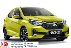   Pilihan Paling Worth It! Simak Daftar Harga dan Tips Membeli Honda Brio Bekas Oktober 2026