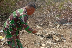 Kerangka Manusia Tanpa Kepala Ditemukan di Tepi Pantai Desa Sungai Jambat Tanjabtim, Ini  Ciri-cirinya