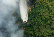 Updarte Karhutla Batang Hari: 479,48 Hektare Terbakar, Kualitas Udara Muara Bulian Tak Sehat