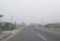 Karhutla Meningkat, Alat ISPU Tebo Malah Trouble! PM10 dan PM2.5 Belum Bisa Dibaca