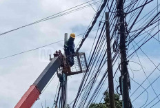  Ternyata Ada 27 Desa di Batang Hari Belum Tersentuh Listrik   