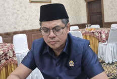 Ratusan Hektare Terbakar di Tebo, DPRD Provinsi Jambi Desak Satgas Gakkum Bongkar Penyebabnya