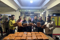 Bus AKAP Distop di Sarolangun, Polisi Gagalkan Penyelundupan 42 Kg Ganja Lintas Provinsi! Berakhir di Lampung