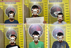 Digerebek Malam Hari! Polisi Amankan 6 Orang di Bungo, Sabu dan Uang Tunai Ikut Disita