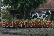 Intip Kisah Desa Banyuanyar, Desa Ramah Lingkungan yang Terus Maju Lewat Pemberdayaan Desa BRILiaN