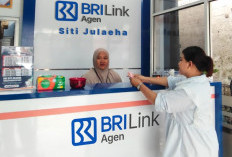 Intip Kisah Siti Julaeha Perempuan yang Sukses Kembangkan Usaha Sambil Mengurus Rumah Tangga 