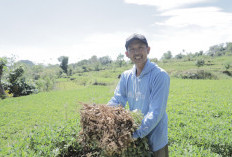 Dari Petani ke Pelaku UMKM, Warga Tompobulu Rasakan Dampak Program BRILiaN
