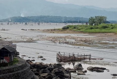 Danau Kerinci Menyusut Parah! Sawah Mengering, Nelayan Merana, Warga Sebut Terburuk Sepanjang Sejarah