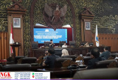 DPRD Provinsi Jambi Sepakat Bentuk Pansus Karhutla 
