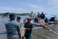 Dari Potensi Lokal ke Prestasi Nasional, Desa BRILiaN Sausu Tambu Perkuat Ekonomi Pesisir