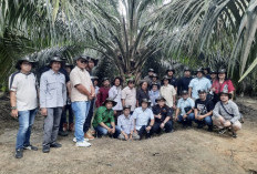 Menyaksikan Keberhasilan Mitra Petani Sawit Asian Agri di Merlung Tanjab Barat