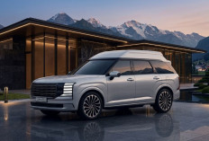 Premium! Hyundai Luncurkan Palisade High Roof: SUV Mewah Berkonsep Private Jet dengan Atap Bertabur Bintang