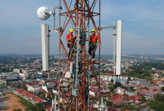 Transformasi BUMN di Bawah Danantara Perkuat Layanan Publik, Telkomsel Tumbuh Sehat di Semester I 2026