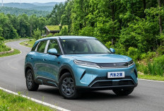  BYD Atto 2 2027 Meluncur: Harga Rp170 Jutaan, Sanggup Menjelajah Hingga 501 Km