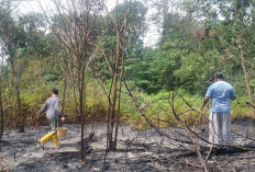  11,5 Hektare Lahan Terbakar, BPBD Catat 12 Kasus Karhutla di Muaro Jambi