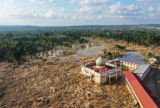 Update Bencana Sumatera: Korban Tewas Capai 929, Ratusan Masih Dicari