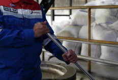 Bukan Energi Listrik Saja, Begini Cara Pertamina Dorong Pemanfaatan Panas Bumi untuk Perekonomian Rakyat