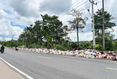 Bikin Kesal, Sampah Selalu Menumpuk di Jaluko, Diangkut Tiap Hari Tapi Tak Pernah Tuntas