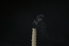 Belum Banyak yang Tahu! Ini 4 Larangan Saat Nyepi yang Bikin Bali Benar-Benar 'Mati Total'