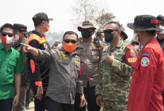 Duh! Enam Hektare Tahura di Batang Hari Terbakar, TNI dan Pemprov Jambi Perkuat Penanganan