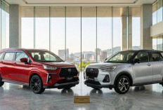 Veloz Hybrid atau Rocky Hybrid? Ini 7 Perbandingan Penting Sebelum Membeli di 2026