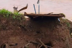 Jembatan Gantung Pulau Aro Pelalawan Sarolangun Ambruk, Akses Vital Warga Terputus