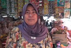 Harga Cabai dan Sayuran Melonjak Naik, Akibat Kemarau Panjang