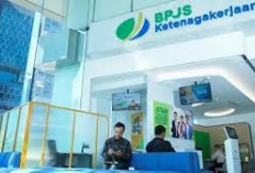 Segera Daftar, BPJS Ketenagakerjaan Buka Lowongan Kerja, Ini Posisi yang Dibutuhkan