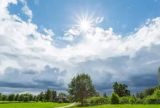 Prakiraan Cuaca Jambi Hari Ini: Dominasi Cerah Sepanjang Hari, Suhu Puncak Capai 32°C
