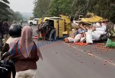 Kecelakaan di Jalinsum Bungo! Truk Sayur Terbalik Usai Tabrakan dengan Hilux, Muatan Berserakan di Jalan
