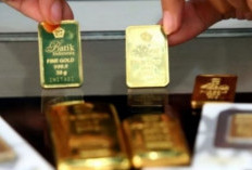 Harga Emas Berjaya! Dua Hari Beruntun Emas Antam, UBS dan Galeri24 di Pegadaian Serempak Naik 