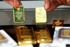Investasi Kian Berkilau! Harga Emas Antam, UBS, dan Galeri24 di Pegadaian Kompak Meroket Jumat Pagi