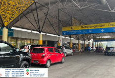 Kabut Asap Jambi Akibat Karhutla Makin Jadi! Jarak Pandang Bandara Sultan Thaha Sempat 800 Meter